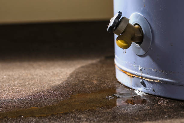 Best Ceiling water damage repair  in Crothersville, IN
