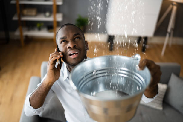 Best Water damage restoration near me  in Crothersville, IN