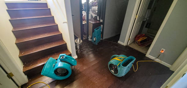 Best Water damage mitigation services  in Crothersville, IN