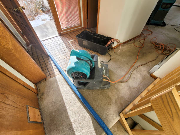 Best Basement water damage restoration  in Crothersville, IN