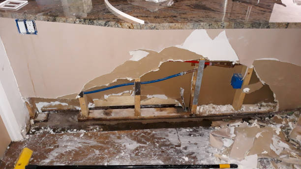 Best Water damage contractors near me  in Crothersville, IN