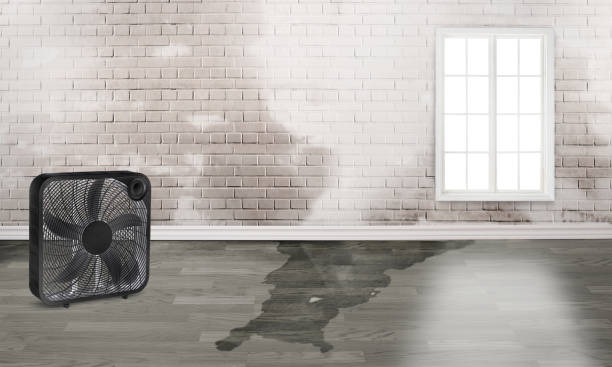 Best Sewage cleanup and water damage restoration  in Crothersville, IN