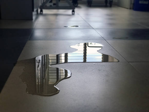 Best 24-hour water damage restoration  in Crothersville, IN
