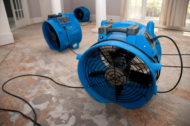 Best Flooded house restoration  in Crothersville, IN