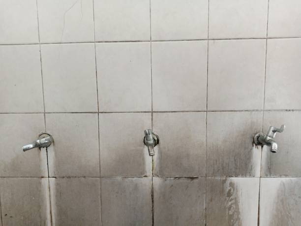 Best Local water damage restoration  in Crothersville, IN