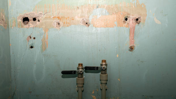 Best Water damage cleanup near me  in Crothersville, IN