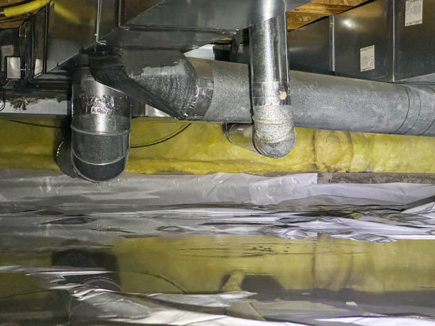 Best Water damage restoration experts  in Crothersville, IN