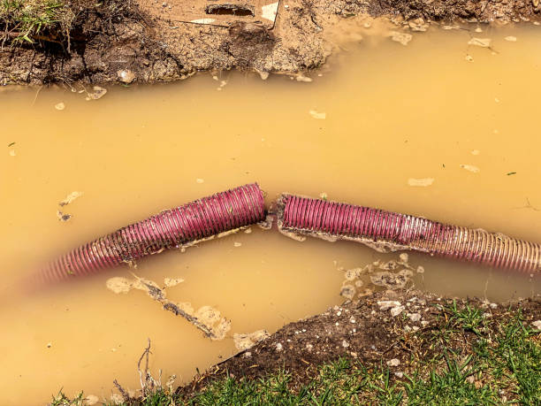 Professional Water damage restoration in Crothersville, IN